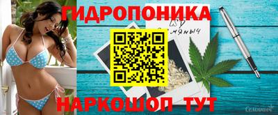 винт Нарткала