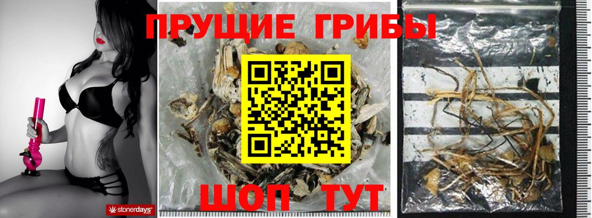 Псилоцибиновые грибы ЛСД  Галлюциногенные грибы мицелий  Вход с VPN  Пугачёв 